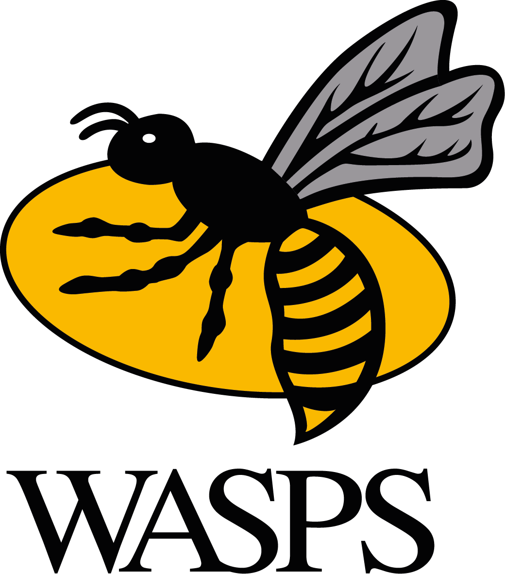 Wasps RFC